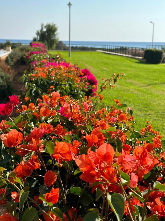 Green Apartment In Bafra Northern Cyprus Vokolidha Zewnętrze zdjęcie